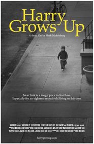  Harry Grows Up Poster