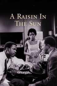  A Raisin in the Sun Poster