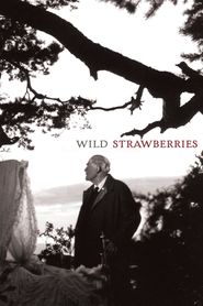  Wild Strawberries Poster