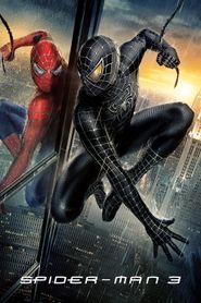  Spider-Man 3 Poster