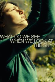  What Do We See When We Look at the Sky? Poster