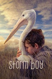  Storm Boy Poster