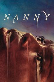  Nanny Poster