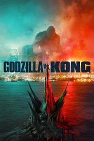  Godzilla vs. Kong Poster