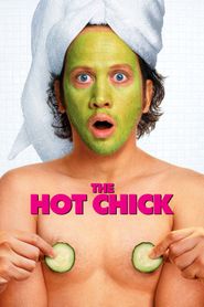  The Hot Chick Poster