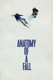  Anatomy of a Fall Poster