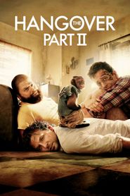  The Hangover Part II Poster