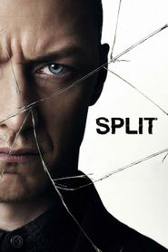  Split Poster