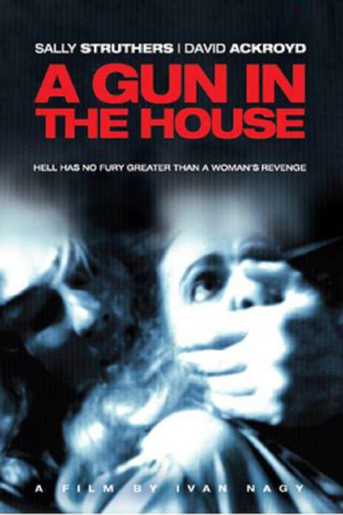 A Gun in the House Poster