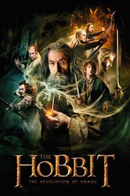  The Hobbit: The Desolation of Smaug Poster