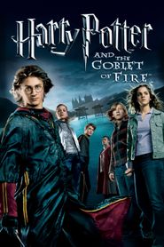  Harry Potter and the Goblet of Fire Poster