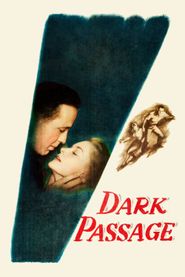  Dark Passage Poster