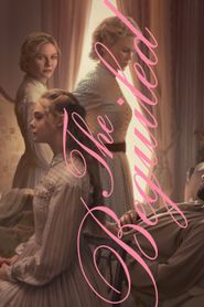  The Beguiled Poster