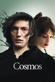  Cosmos Poster