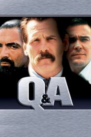  Q&A Poster