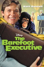  The Barefoot Executive Poster