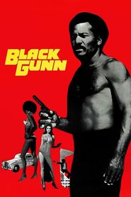  Black Gunn Poster