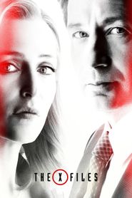  The X-Files Poster