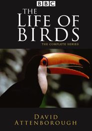  The Life of Birds Poster