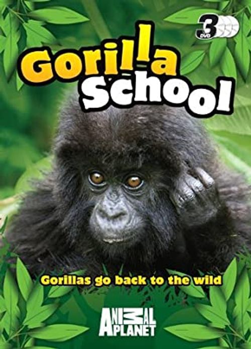 Gorilla School Poster