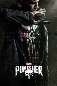  The Punisher Poster