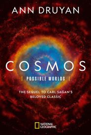  Cosmos: A Spacetime Odyssey Poster