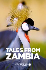  Tales from Zambia Poster