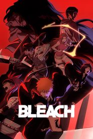  Bleach Poster