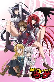  High School DxD Poster