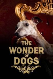  The Wonder of Dogs Poster